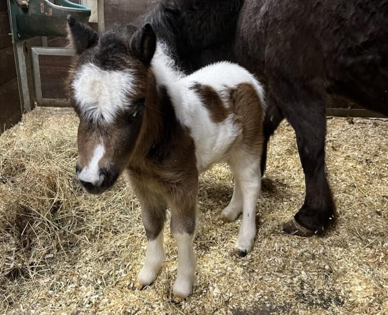 462570744_897037105868955_5987181039214718990_n