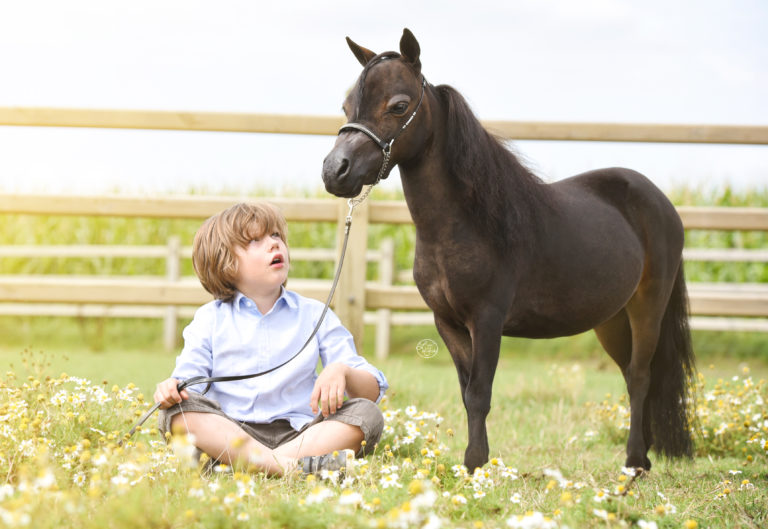 Windroses Blue Eyes Midnight Yonaka